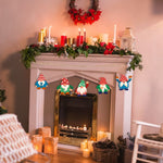 Load image into Gallery viewer, Festive Christmas Gnomes Ornaments Paint by Numbers
