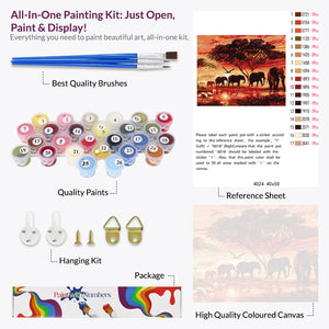 African Elephant, Paint By Numbers