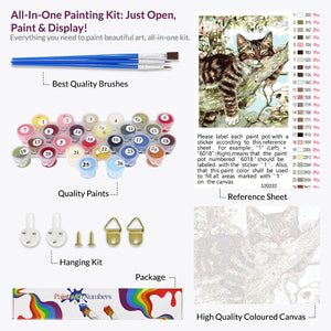 Blissful Nap Paint by Numbers