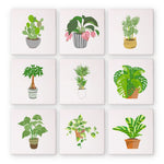 Load image into Gallery viewer, Modern Houseplants Mini Paint by Numbers
