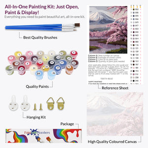 Mount Fuji Paint by Numbers