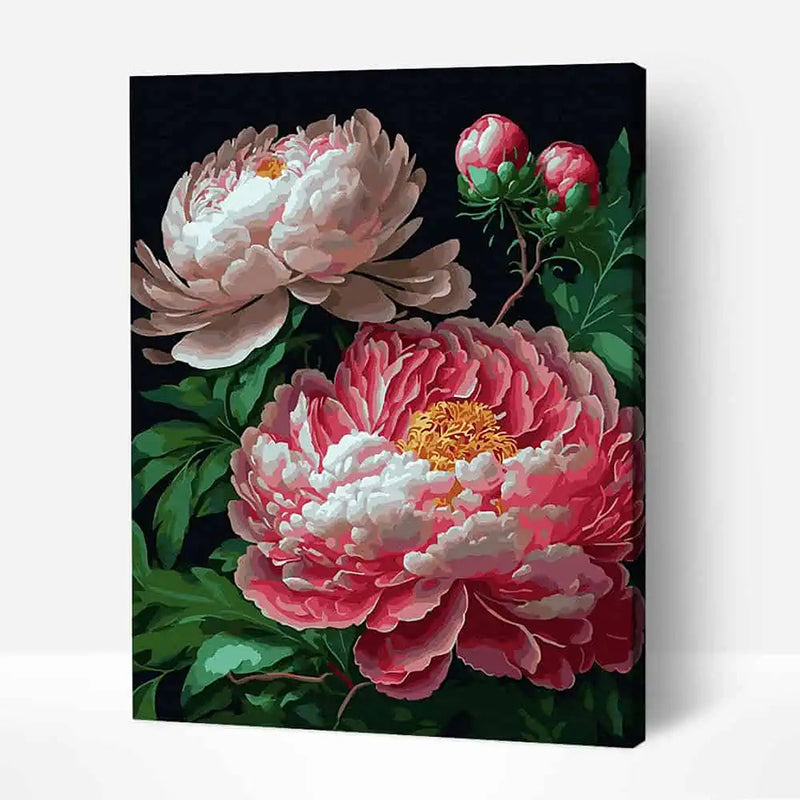 Elegant Peonies Paint by Numbers