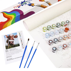 Rainbow Whiskers Paint By Numbers