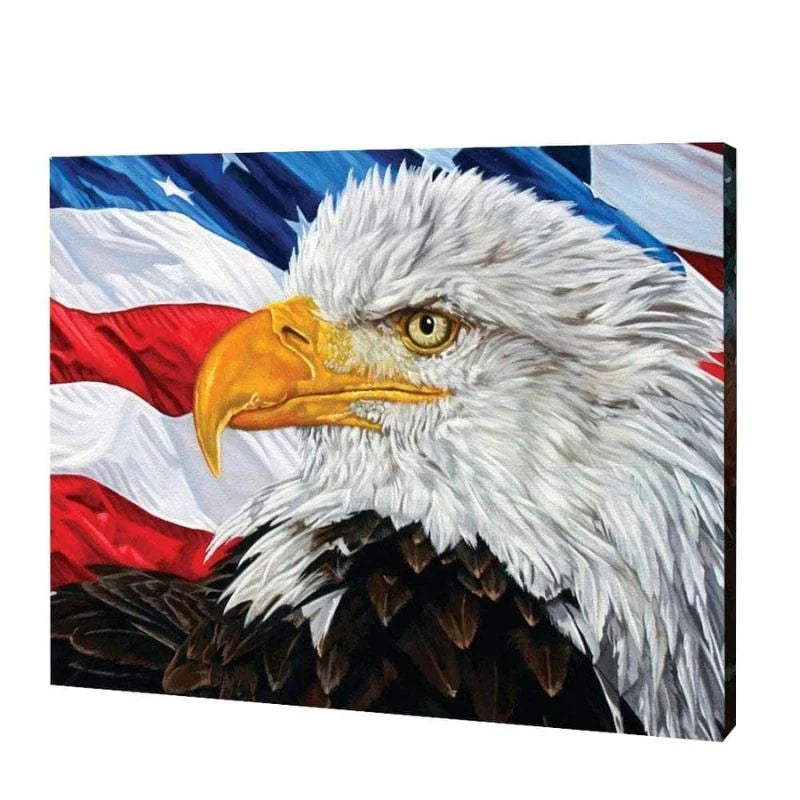 American Eagle, Paint By Numbers