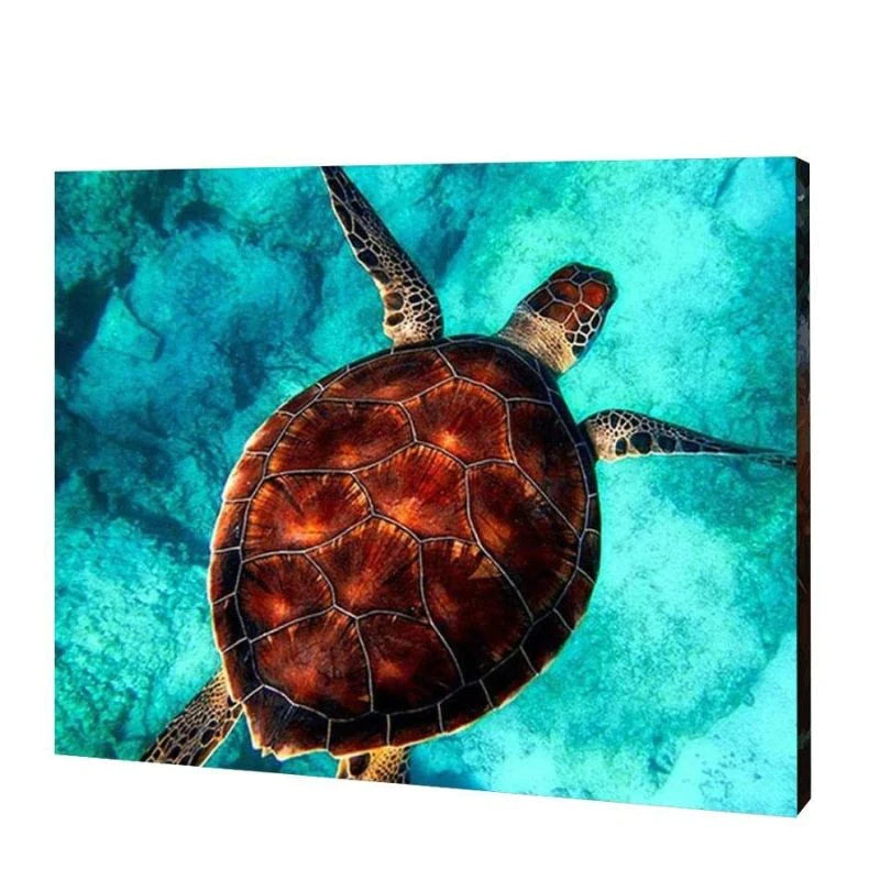 Swimming Sea Turtle, Paint By Numbers